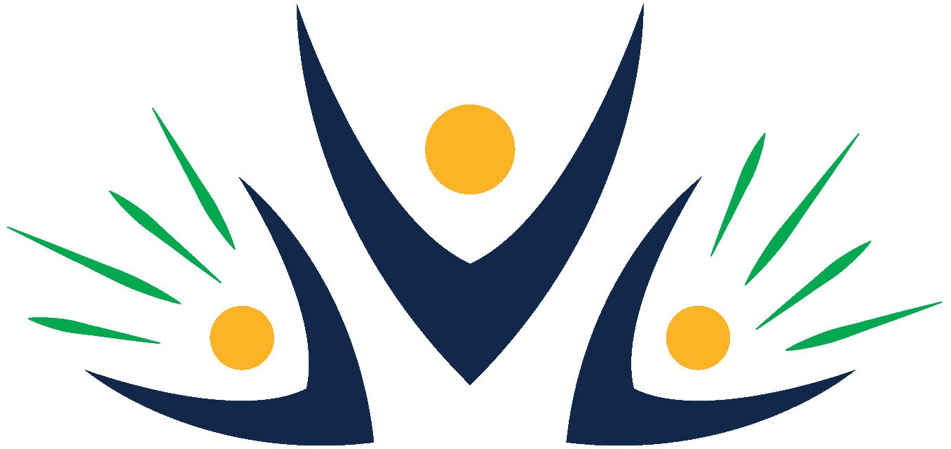 NC Voices Amplified Logo